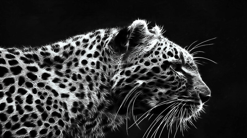 Leopard in Profile — Black, Dramatic, Digital Art, Spots