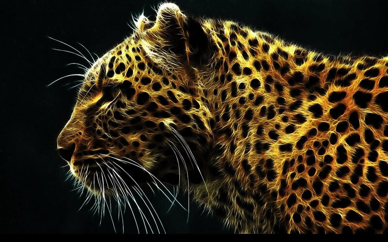 Leopard in Profile — Black, Dramatic, Digital Art, Spotted Fur
