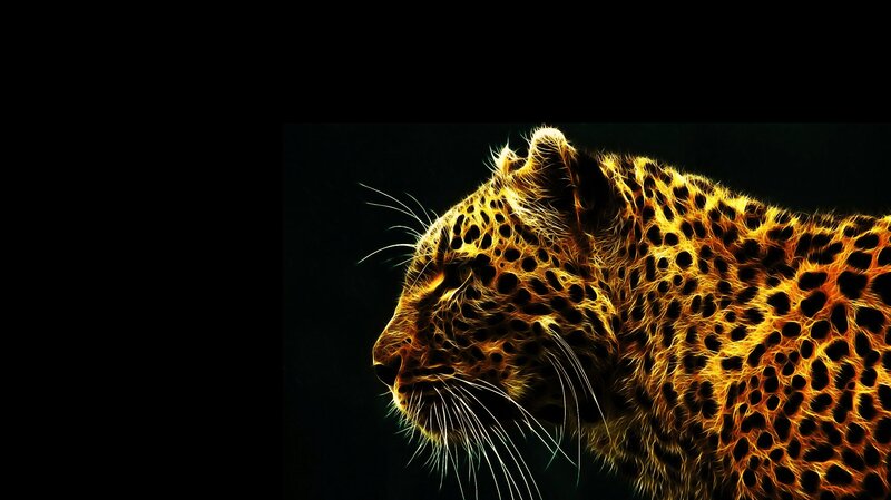 Leopard in Profile — Black, Dramatic, Digital Art, Spotted Fur, Whiskers