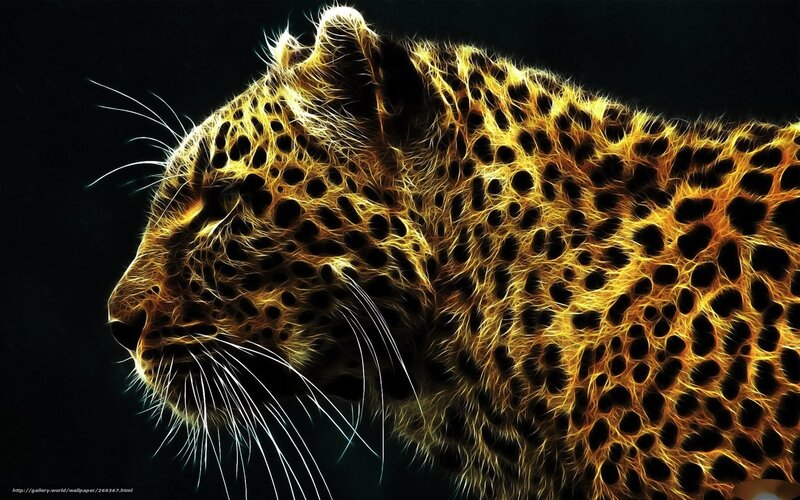 Leopard in Profile — Black, Dramatic, Digital Art, Whiskers, Spots, Dark Background