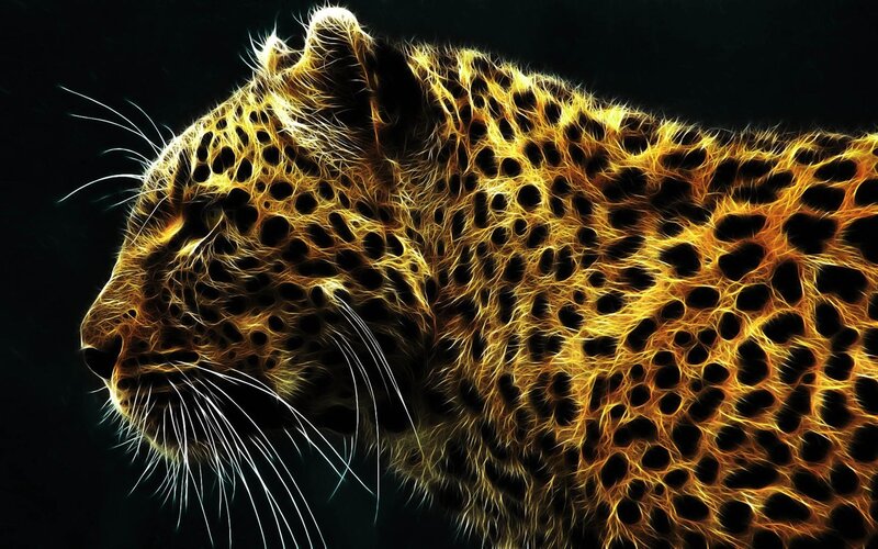 Leopard in Profile — Black, Dramatic, Digital Art, Whiskers, Spots