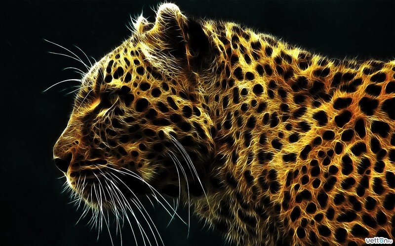 Leopard in Profile — Black, Dramatic, Digital Art, Whiskers