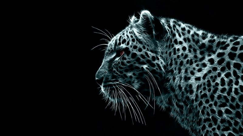 Leopard in Profile — Black, Dramatic, Night, Digital Art