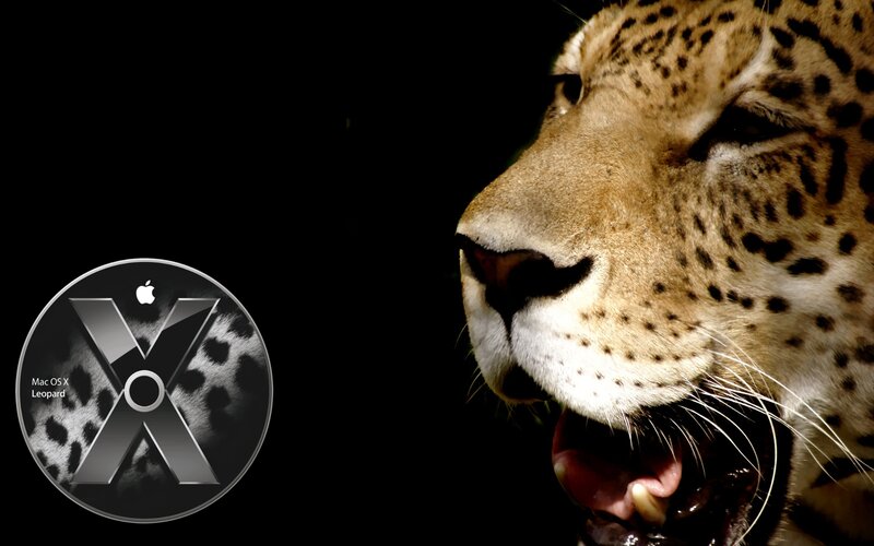 Leopard in Profile — Black, Dramatic, Photograph