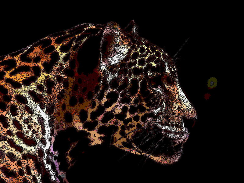 Leopard in Profile — Black, Dramatic
