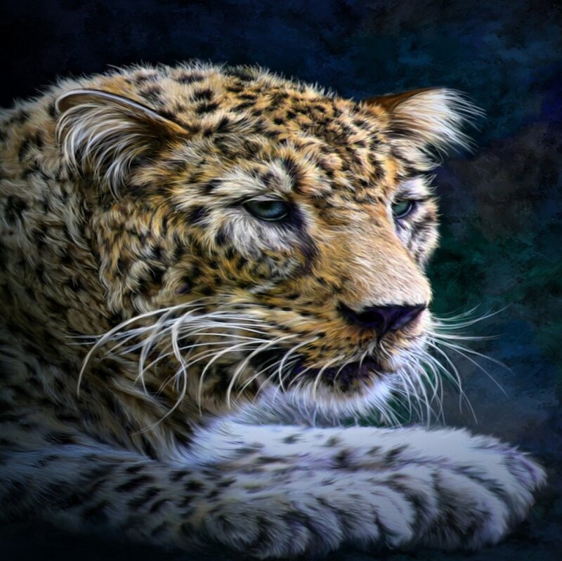 Leopard in Profile — Brown, Dramatic