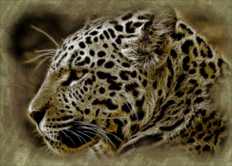 Leopard in Profile — Brown, Intense, Digital Art