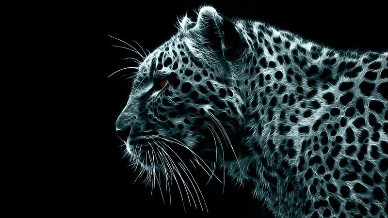 Leopard in Profile — Dramatic