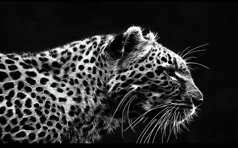 Leopard in Profile — Spots