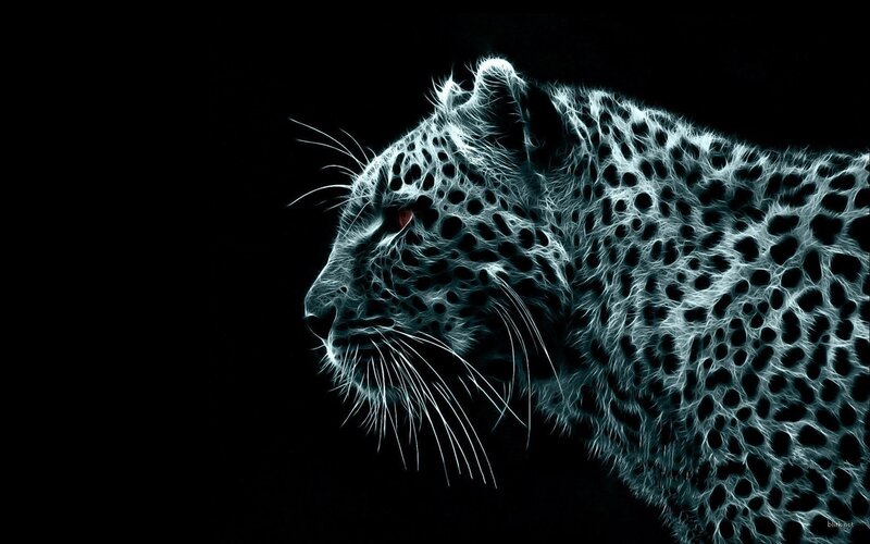 Leopard in Profile — White, Dramatic, Digital Art, Black Background