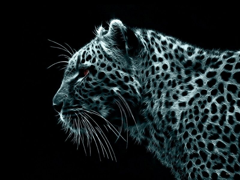 Leopard in Profile — White, Dramatic, Digital Art
