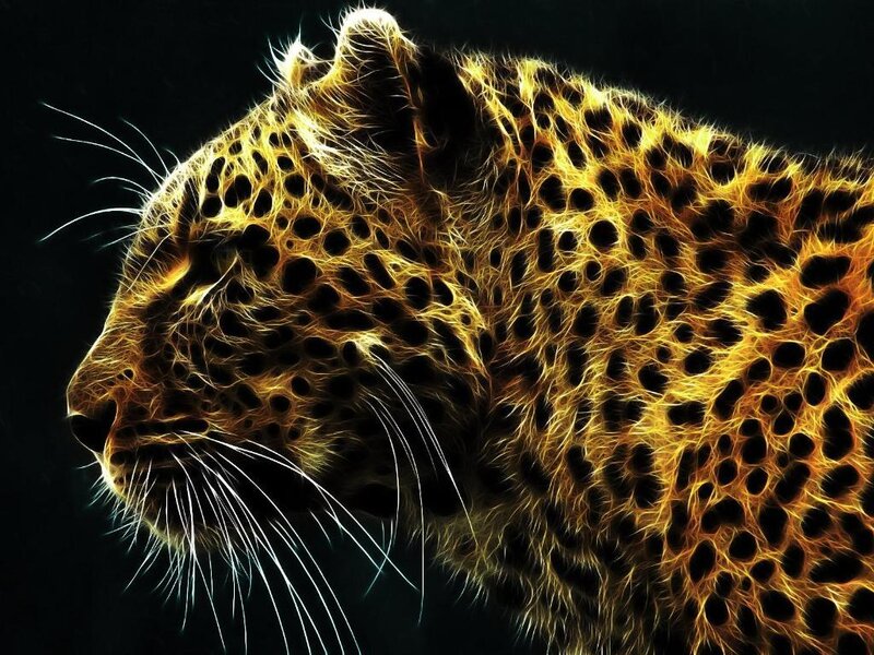 Leopard in Profile — Yellow, Dramatic, Digital Art, Whiskers