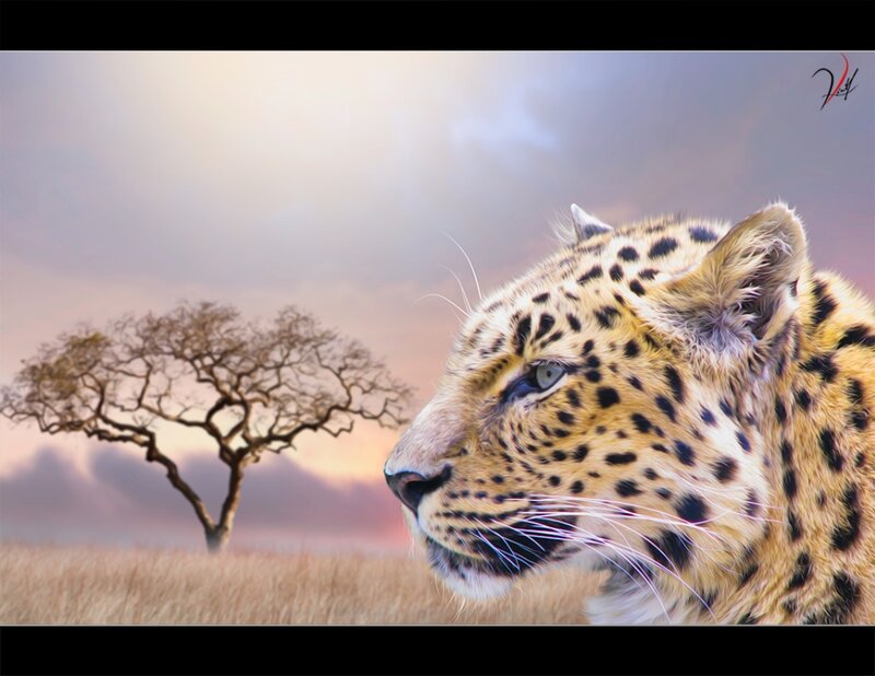 Leopard in Savanna — Yellow