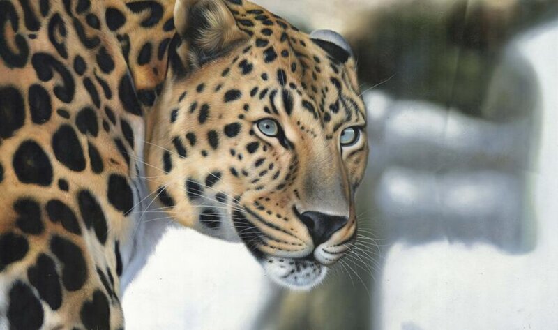 Leopard in Snow — Tan