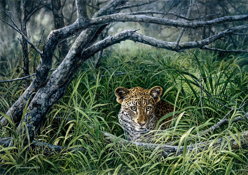 Leopard in Tall Grass — Green, Alert, Painting