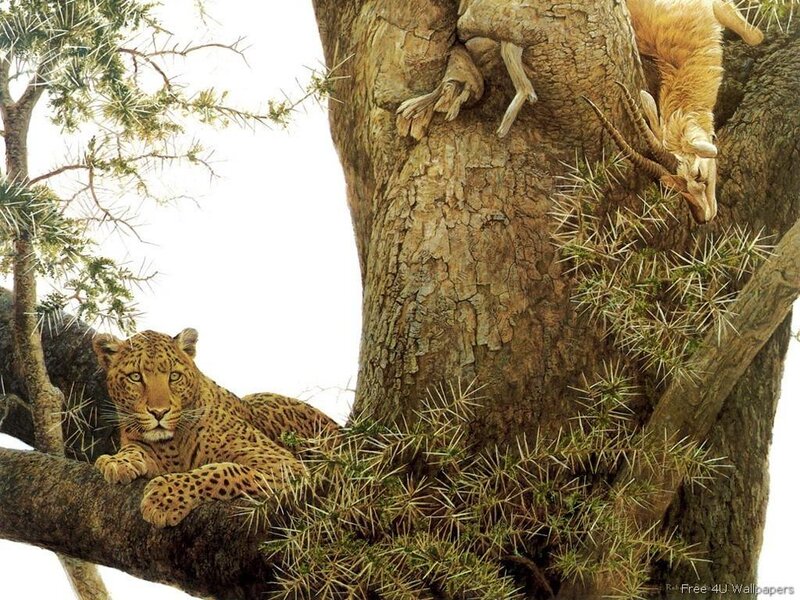Leopard in Tree — Brown, Natural