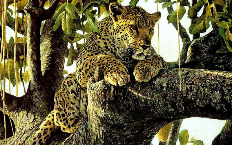 Leopard in Tree — Green, Calm, Afternoon, Painting