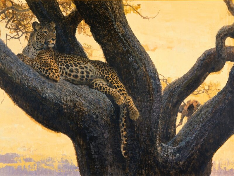Leopard in Tree — Yellow, Calm