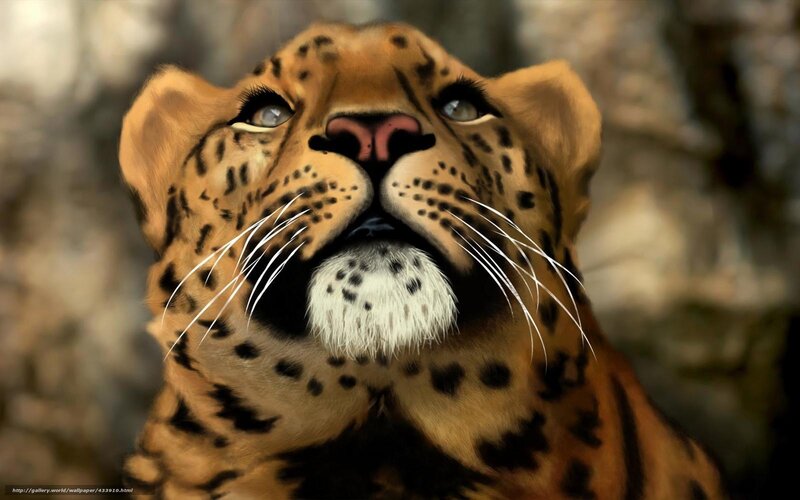Leopard Looking Up — Brown, Alert, Digital Art