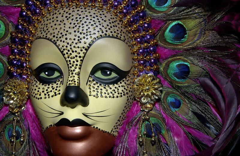 Leopard Mask with Feathers