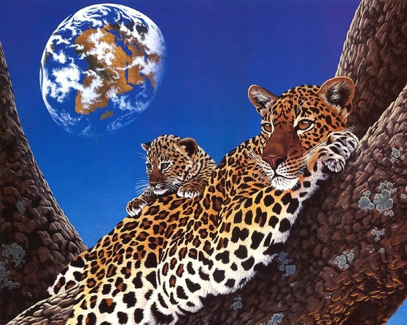 Leopard mother and cub in tree
