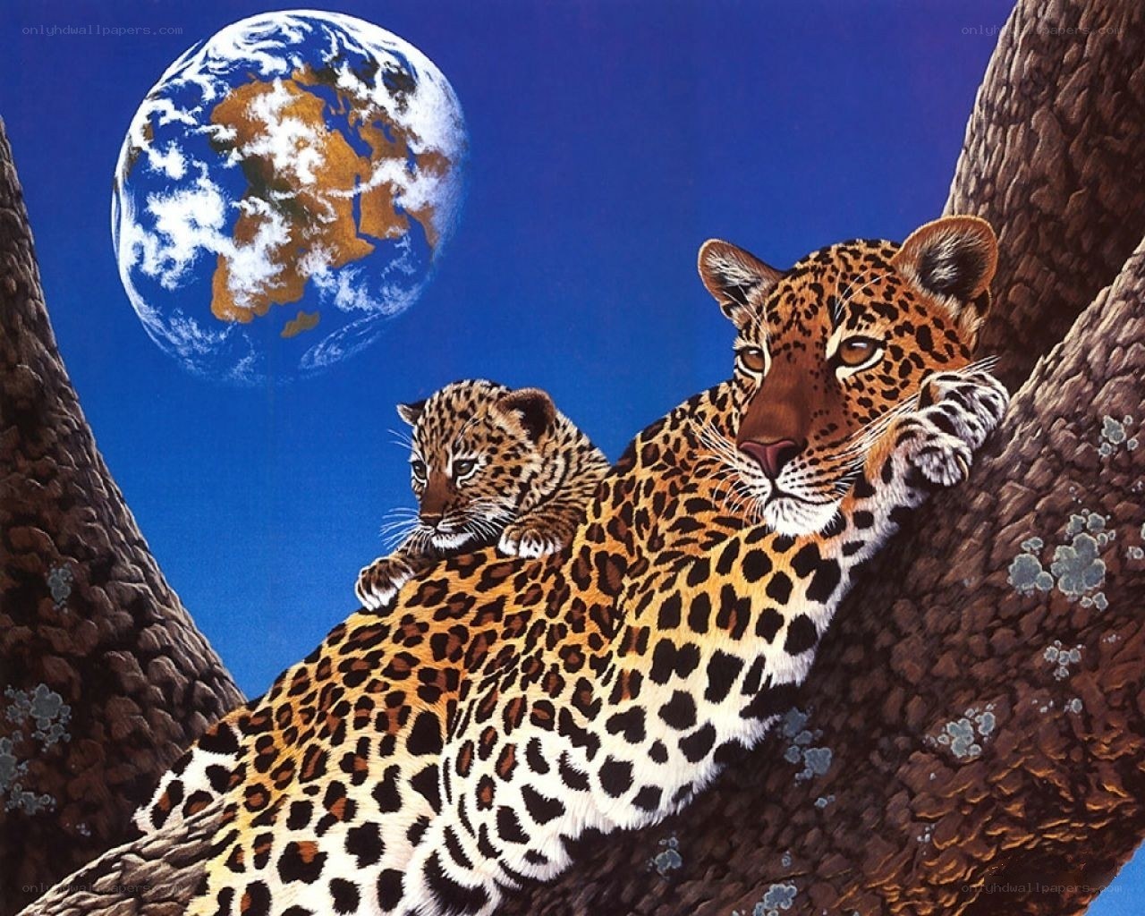 Leopard mother and cub in tree