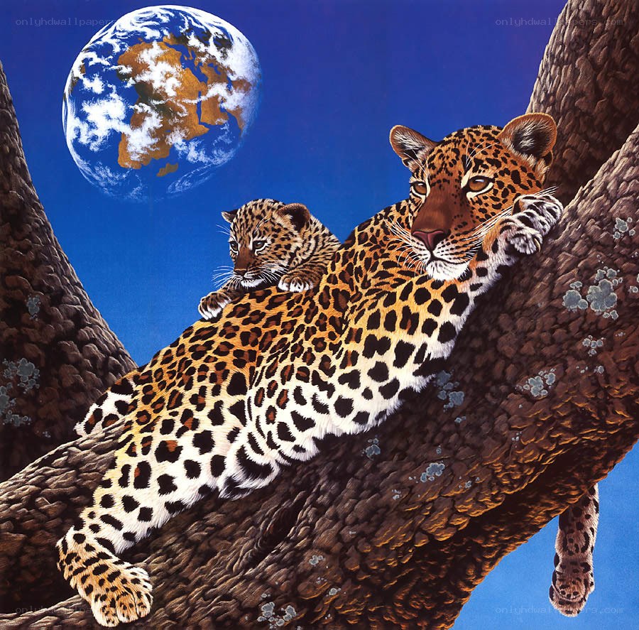 Leopard mother and cub on tree