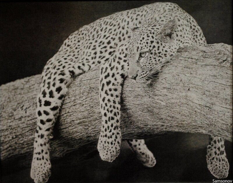 Leopard on a Branch — Black, Calm