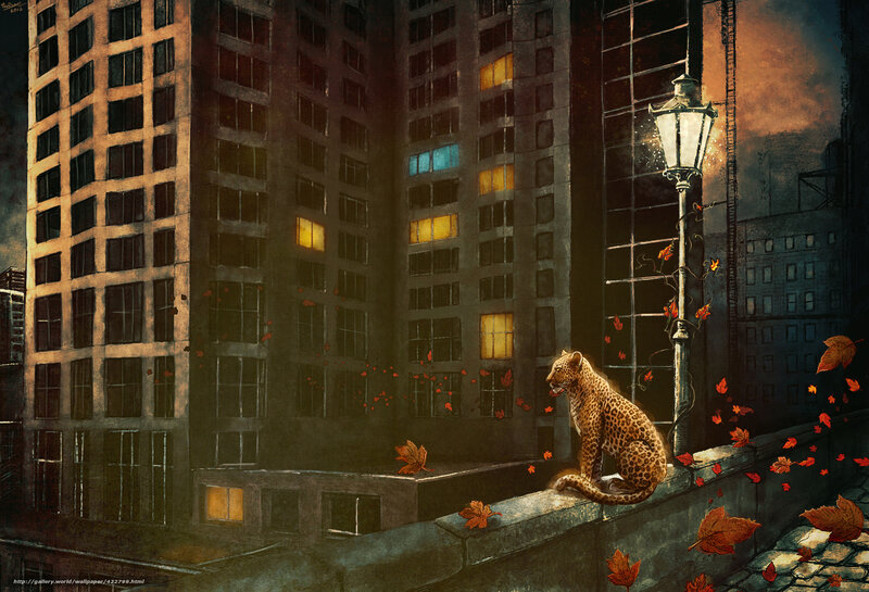 Leopard on a city ledge