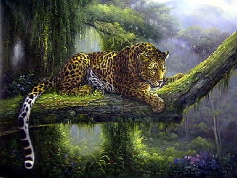 Leopard on a mossy branch
