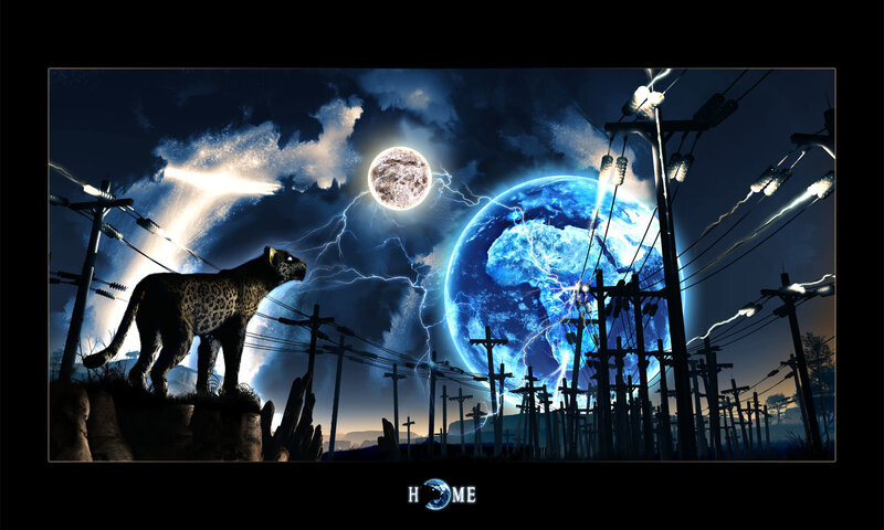 Leopard on a Rock — Blue