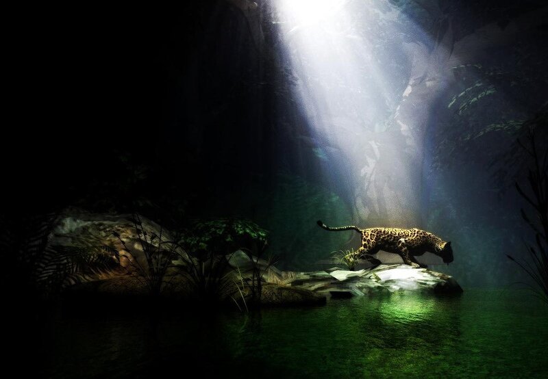 Leopard on a Rock — Green, Dramatic