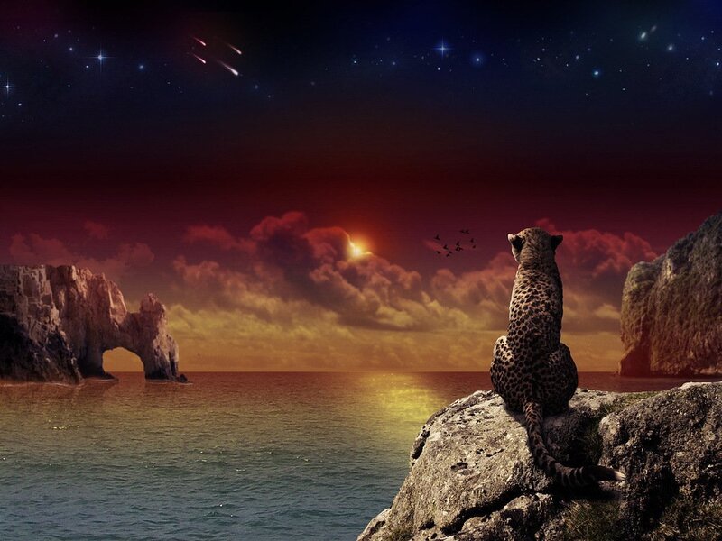 Leopard on a Rock — Red, Dramatic