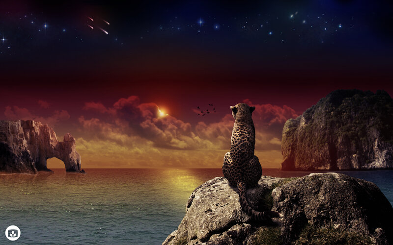Leopard on a Rock — Red