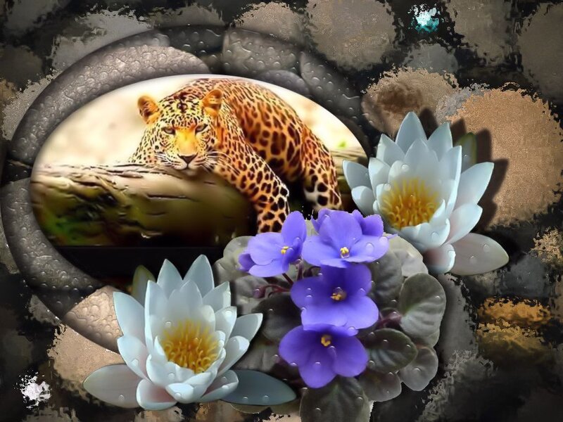 Leopard on Log — White