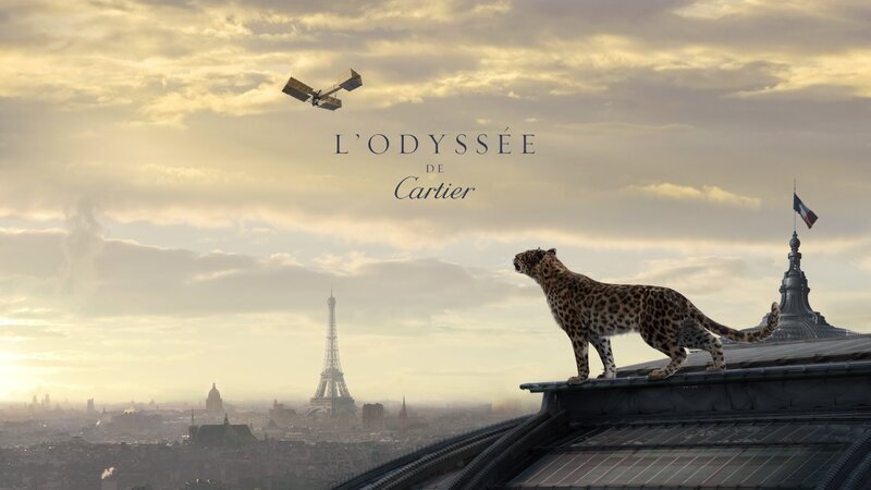 Leopard on Rooftop