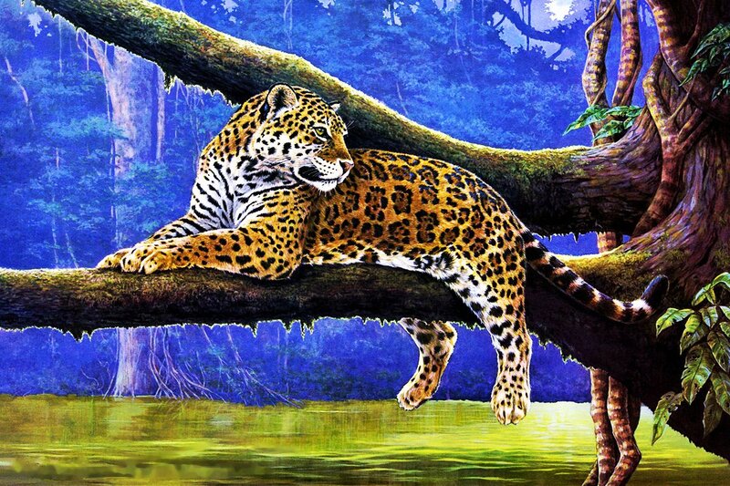 Leopard on Tree Branch — Blue, Calm, Night