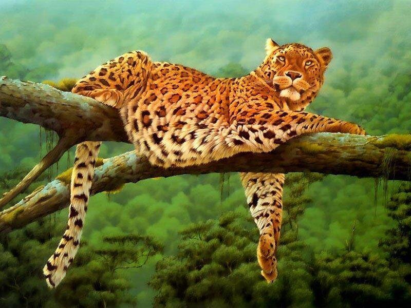 Leopard on Tree Branch — Green, Calm, Digital Art, Tree Branch, Forest, Brown
