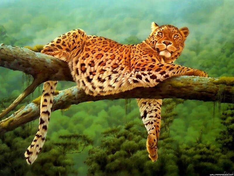 Leopard on Tree Branch — Green, Calm, Digital Art, Tree Branch