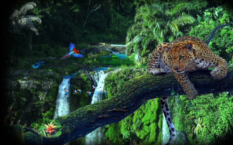 Leopard on Tree Branch — Green, Dramatic