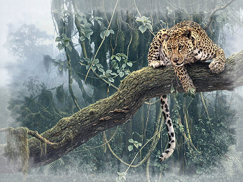 Leopard on Tree Branch — Green, Misty