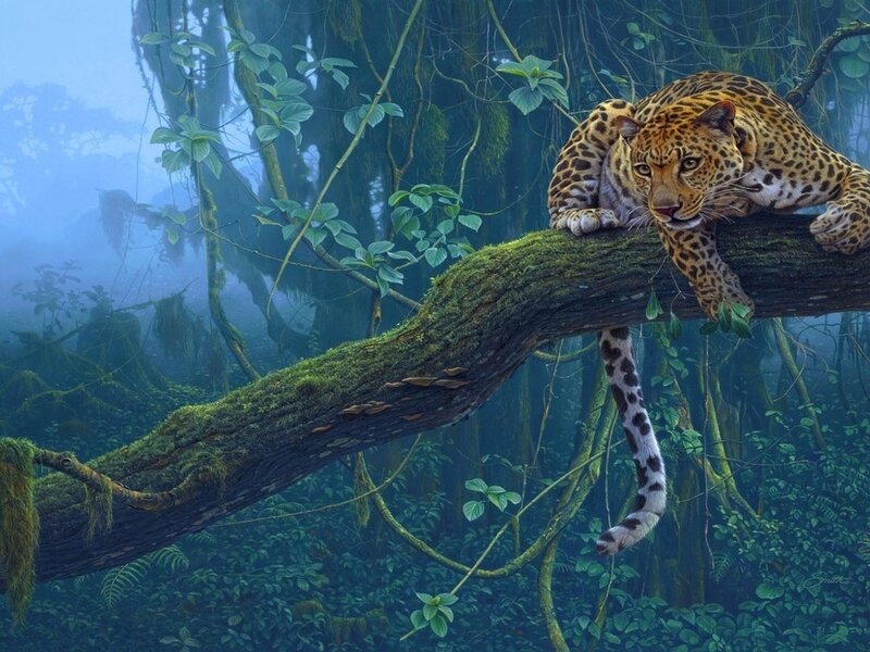 Leopard on Tree Branch — Green, Mysterious