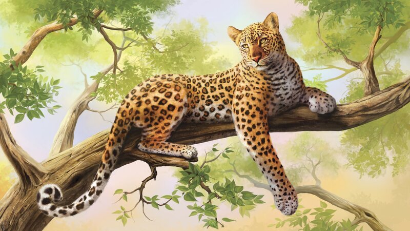 Leopard on Tree Branch — Green, Serene, Afternoon, Illustration