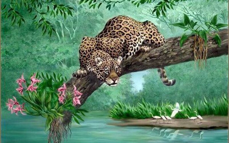 Leopard on Tree Branch — Green, Serene, Afternoon
