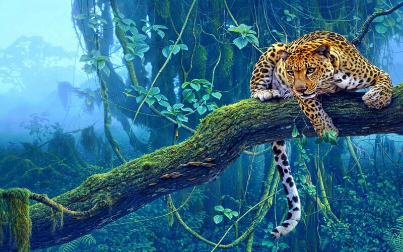 Leopard on Tree Branch — Green, Serene