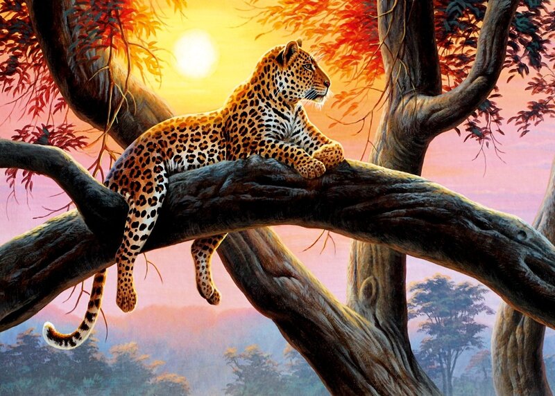 Leopard on Tree Branch — Orange, Serene