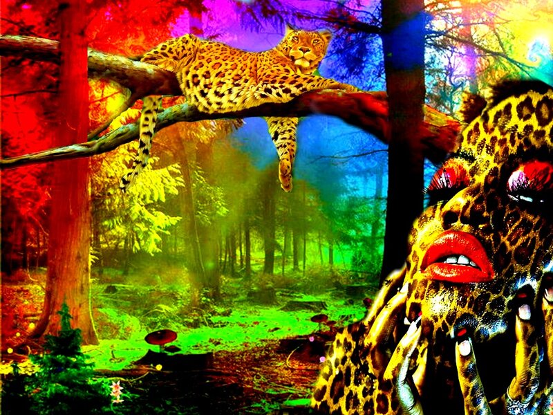 Leopard on Tree Branch — Red