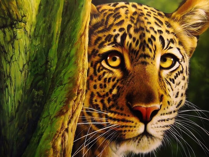 Leopard peeking from tree