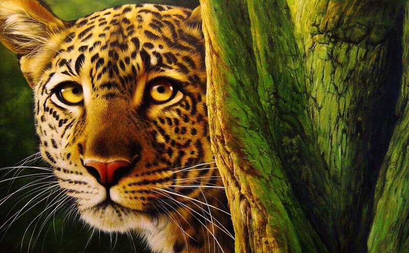 leopard peeking from tree