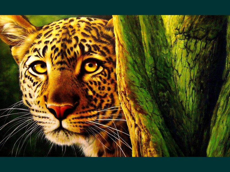 Leopard Peeking from Tree — Yellow